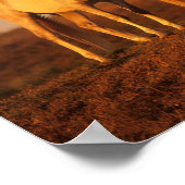 Poster Bob Langrish | Deux (Coin)