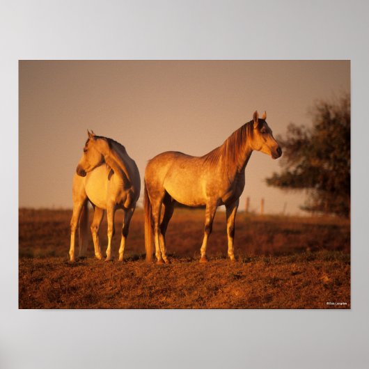 Poster Bob Langrish | Deux (Devant)