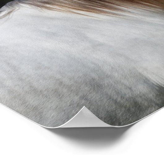 Poster Bob Langrish | Deux Andalous Ensemble (Coin)