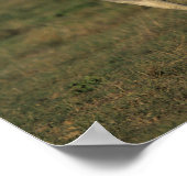 Poster Bob Langrish | Deux Arabes gris qui courent ensemb (Coin)