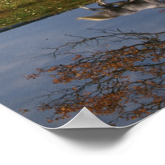 Poster Bob Langrish | Deux Bois Chauds Ensemble Par Lac (Coin)