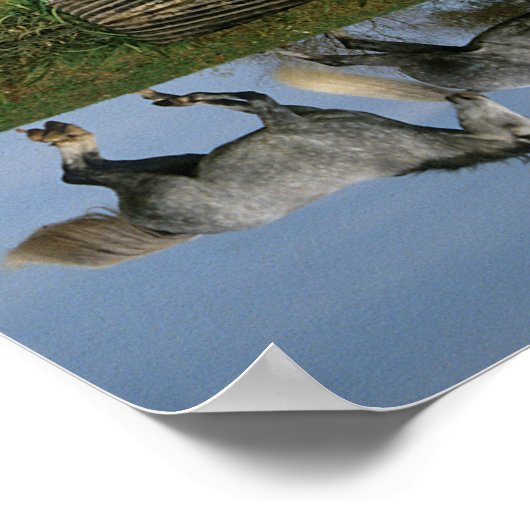 Poster Bob Langrish | Deux Bois Chauds Ensemble Par Lac (Coin)