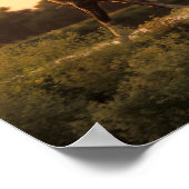 Poster Bob Langrish | Deux chevaux arabes marchant au cou (Coin)