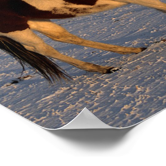 Poster Bob Langrish | Deux Chevaux De Peinture Dans La Ne (Coin)