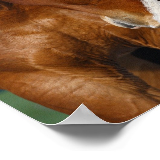 Poster Bob Langrish | Deux Chevaux Ensemble (Coin)