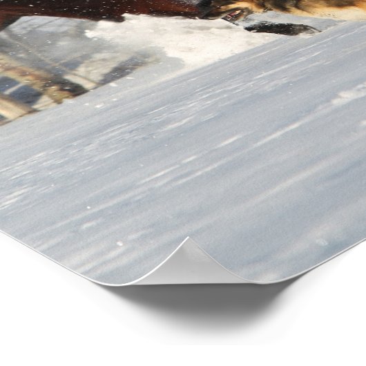 Poster Bob Langrish | Deux Chevaux Morgan et Chien en Nei (Coin)