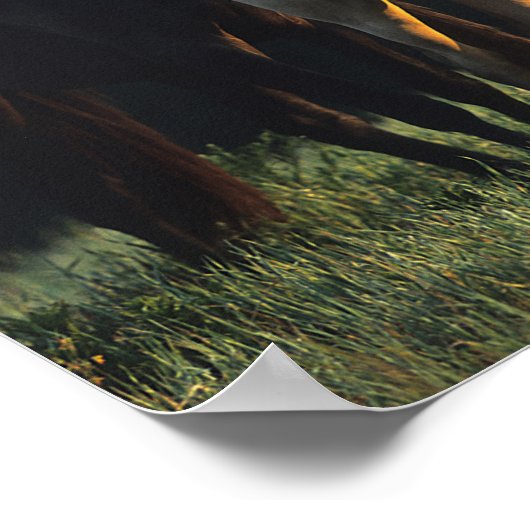 Poster Bob Langrish | Deux Mustangs Kiger debout (Coin)