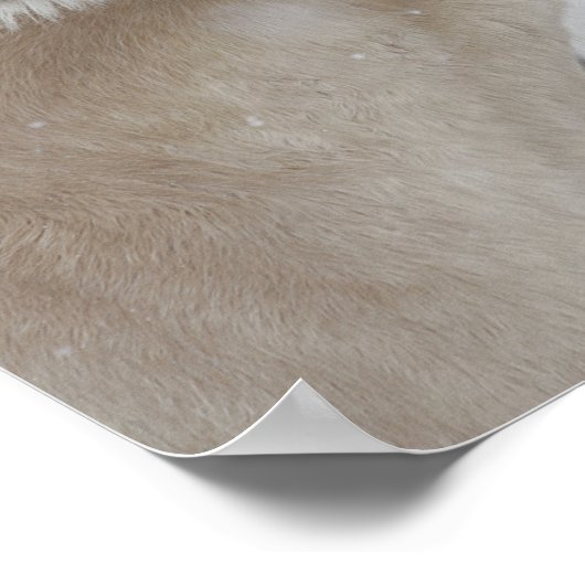 Poster Bob Langrish | Deux Ponts Se Retrouvant Dans La Ca (Coin)