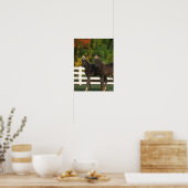 Poster Bob Langrish | Deux poulains des Rocheuses debout (Cuisine)