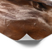 Poster Bob Langrish | Deux Rencontres canadiennes de chev (Coin)