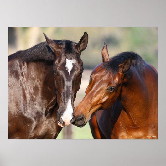 Poster Bob Langrish | Deux Rencontres canadiennes de chev (Devant)
