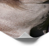 Poster Bob Langrish | Élevage de licorne grise (Coin)