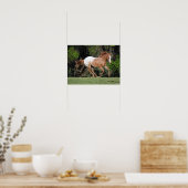 Poster Bob Langrish | Exécution d'Appaloosa (Cuisine)