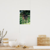 Poster Bob Langrish | Foie Roulé À Thoroughbred En Champ (Cuisine)