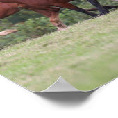 Poster Bob Langrish Gallois ponies courir des mares et de (Coin)