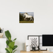 Poster Bob Langrish | Gray Andalucian Stallion Leaping (Bureau à domicile)