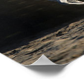 Poster Bob Langrish | Gray Arab Mare Running (Coin)