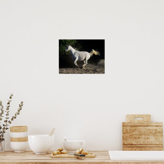 Poster Bob Langrish | Gray Arab Mare Running (Cuisine)