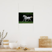 Poster Bob Langrish | Gray Arab Running (Cuisine)
