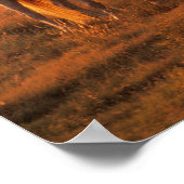 Poster Bob Langrish | Gray Arab Standing au coucher du so (Coin)