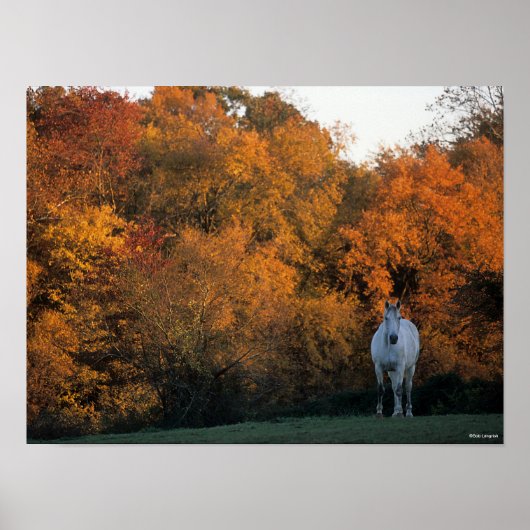 Poster Bob Langrish Gray Warmblood Horloge debout Automne (Devant)