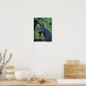 Poster Bob Langrish Greish Dutch Warmblood Headshot rétro (Cuisine)