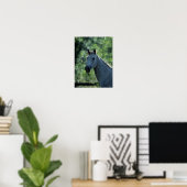 Poster Bob Langrish Greish Dutch Warmblood Headshot rétro (Bureau à domicile)