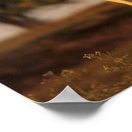 Poster Bob Langrish | Grey Arab Standing (Coin)