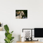 Poster Bob Langrish Grey Casque andalou Mane Flow (Bureau à domicile)