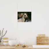 Poster Bob Langrish Grey Casque andalou Mane Flow (Cuisine)