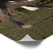 Poster Bob Langrish | Gris Andalousie de l'élévation (Coin)