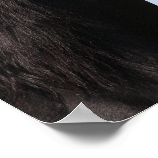 Poster Bob Langrish | Gros plan de l'étoile noire (Coin)