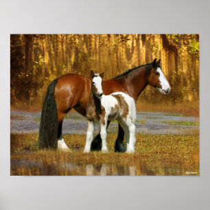 Poster Bob Langrish   Gypsy Vanner Mare et Foal Imaginair