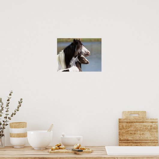 Poster Bob Langrish | Gypsy Vanner Mare et Foie Capture d (Cuisine)
