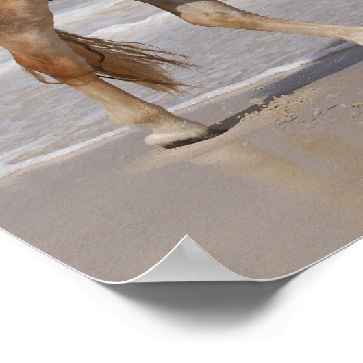 Poster Bob Langrish | Haflinger Marcher Sur La Plage (Coin)