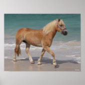 Poster Bob Langrish | Haflinger Marcher Sur La Plage (Devant)