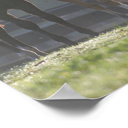 Poster Bob Langrish | Jeunes Chevaux Trois Quart (Coin)