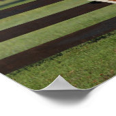 Poster Bob Langrish Le mouton arabe et le poulain se rass (Coin)