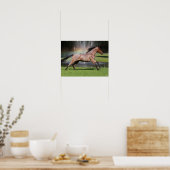 Poster Bob Langrish | Mangalarga Horse Running Rainbow (Cuisine)