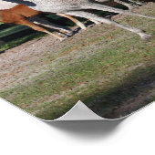 Poster Bob Langrish | Mares et poulains arabes debout (Coin)