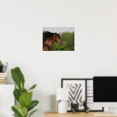 Poster Bob Langrish | Morgan Horse Capsule Flower Mane (Bureau à domicile)