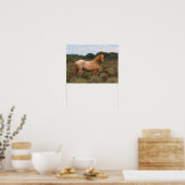 Poster Bob Langrish | Nouveau poney forestier debout dans (Cuisine)