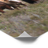 Poster Bob Langrish | Nouveaux poneys forestiers et poula (Coin)
