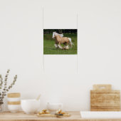 Poster Bob Langrish | Palomino Gypsy Vanner Cheval Courir (Cuisine)