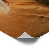 Poster Bob Langrish | Palomino Tennesee Walker Headshot (Coin)