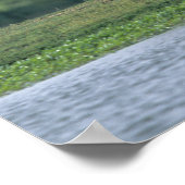 Poster Bob Langrish | Palomino Tennessee Walker and Dog (Coin)