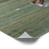Poster Bob Langrish | Palomino Welsh Pony Running (Coin)