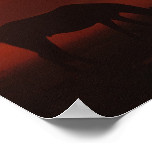 Poster Bob Langrish | Pâturage à trois chevaux au coucher (Coin)