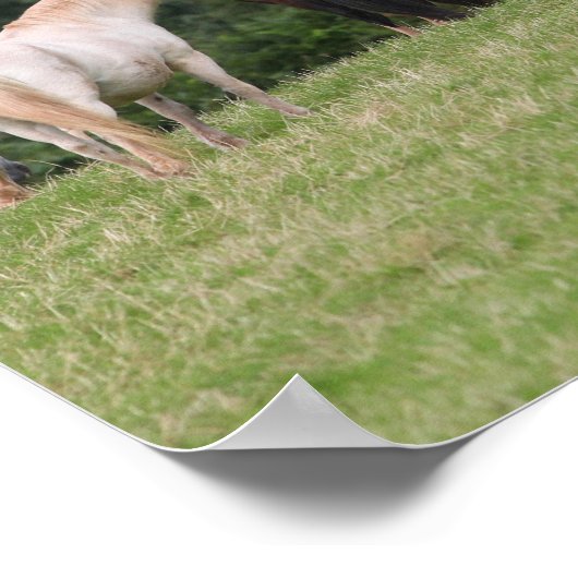 Poster Bob Langrish | Poney Gallois En Champ (Coin)