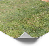 Poster Bob Langrish | Promenade miniature de pouls (Coin)